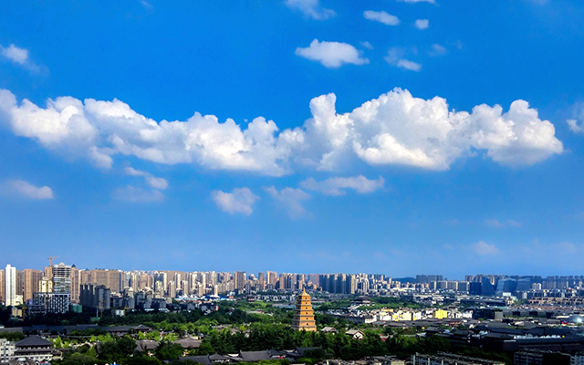 我公司已中標銀川機場項目開關(guān)柜